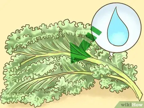 Image titled Steam Kale Step 1