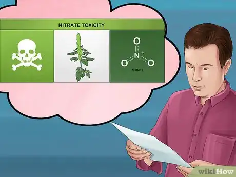 Image titled Treat and Prevent Nitrate Toxicity in Cattle Step 18