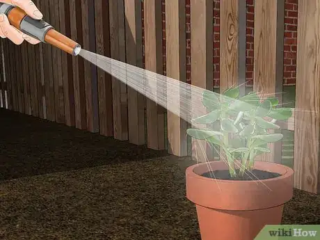 Image titled Kill Spider Mites Step 2