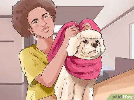 Image titled Get Your Dog Paid TV Appearances Step 8