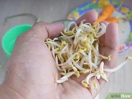 Image titled Juice Broccoli Sprouts Step 16