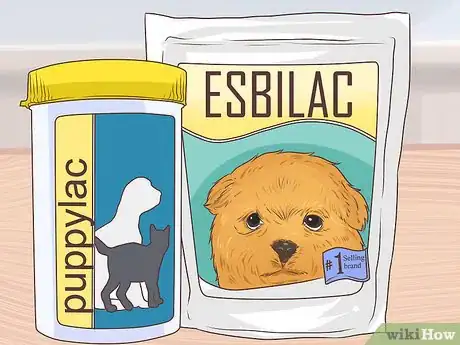 Image titled Prevent Disease in Orphaned Newborn Puppies Step 2