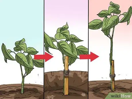 Image titled Plant Step 32