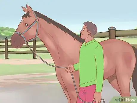Image titled Handle and Control a Stallion Step 2