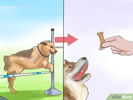 Image titled Get Your Dog to Jump Poles Step 11