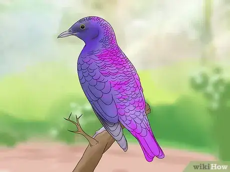 Image titled Improve Composition in Your Photographs Step 4