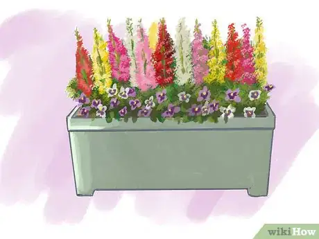 Image titled Plant Pansies in Containers and Pots Step 3
