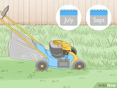 Image titled Sow Yellow Rattle Step 4