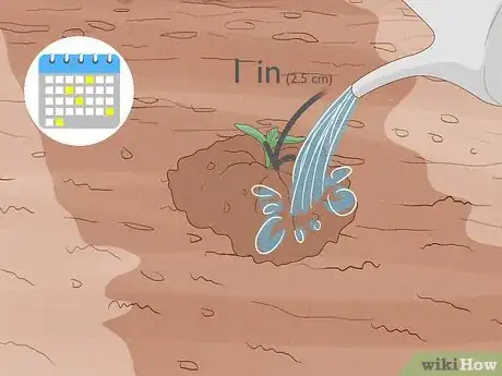 Image titled Grow Bottle Gourds Step 10