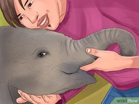 Image titled Help Save Elephants Step 3