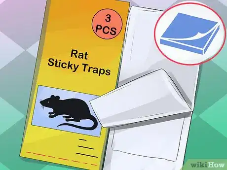 Image titled Deal with Rats Step 3