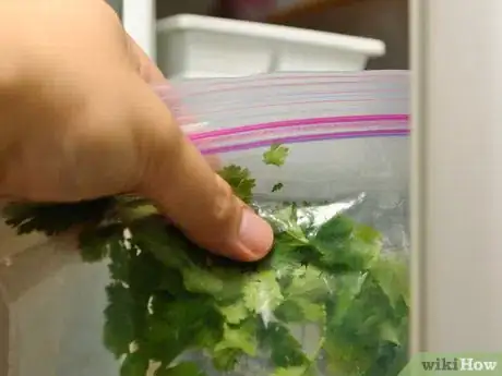 Image titled Freeze Cilantro Step 11