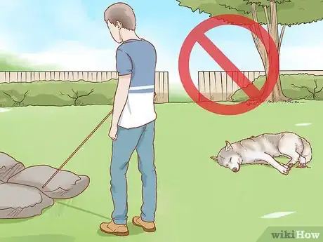 Image titled Treat a Dog for Snakebite in Australia Step 2