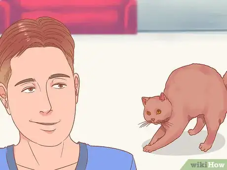 Image titled Figure Out if Your Cat Is Angry Step 10