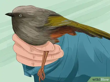 Image titled Use a Backyard Bird Feeder Step 22