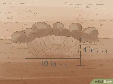 Image titled Grow Bearded Irises Step 4