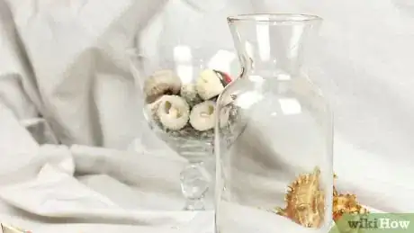 Image titled Display Seashells Step 2