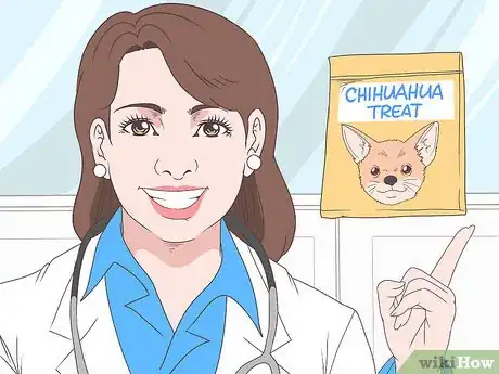 Image titled Train Chihuahuas Step 1