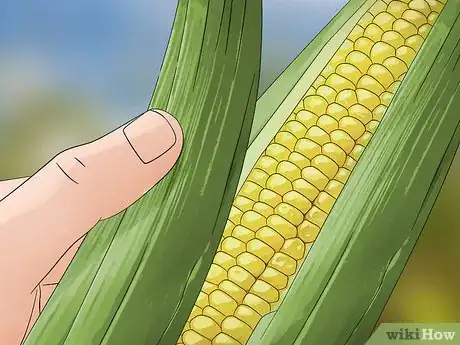 Image titled Control Corn Ear Worms Step 1