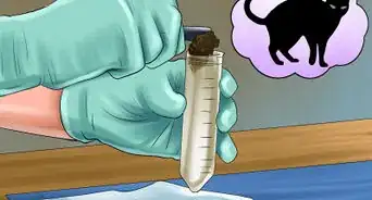 Remove Parasite Samples from a Cat