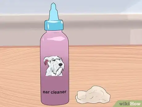Image titled Clean a Terrier's Ears Step 1