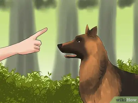 Image titled Walk a Dog in the Woods Step 10