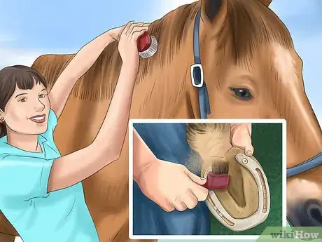 Image titled Treat External Horse Parasites Step 10