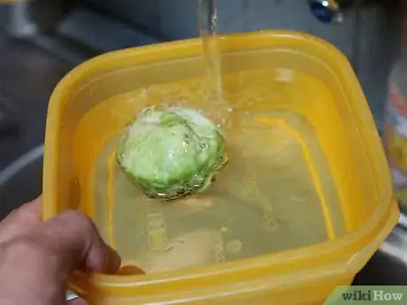 Image titled Select and Store Brussels Sprouts Step 11