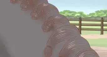 Groom a Horse for a Show