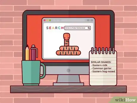 Image titled Identify a Timber Rattlesnake Step 7