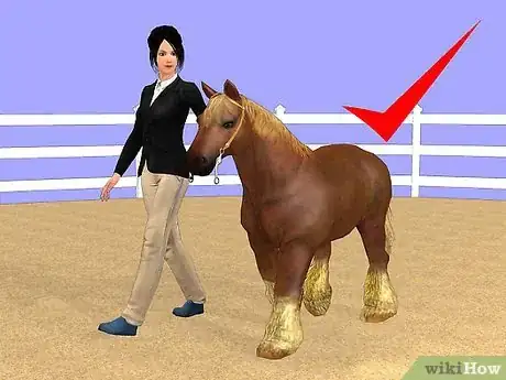 Image titled Show a Miniature Horse Step 10