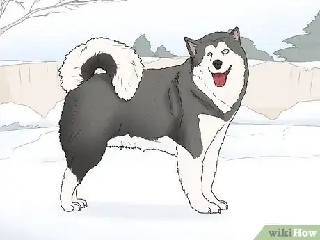 Image titled Choose a Dog Suitable for Your Climate Step 9
