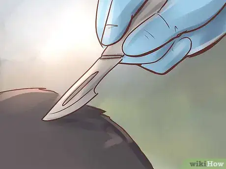 Image titled Diagnose IBD in Cats Step 12