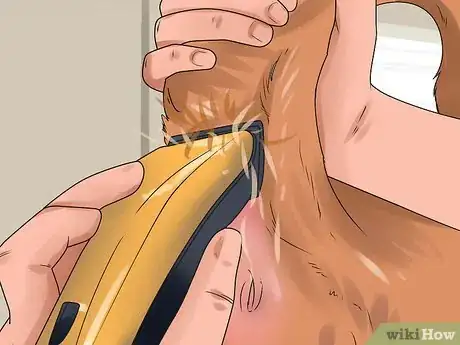 Image titled Get Dogs to Mate Step 16