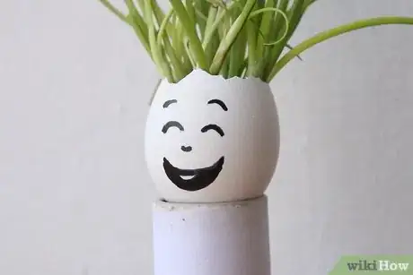Image titled Recycle Eggshells in Gardening Activities Step 6