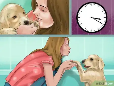Image titled Be Patient with Your Puppy Step 8