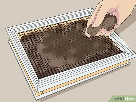 Image titled Plant a Living Picture with Plants Step 6