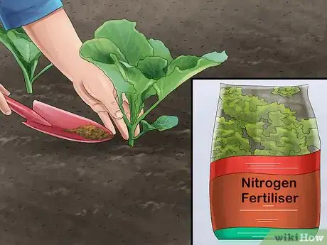 Image titled Treat and Prevent Nitrate Toxicity in Cattle Step 22