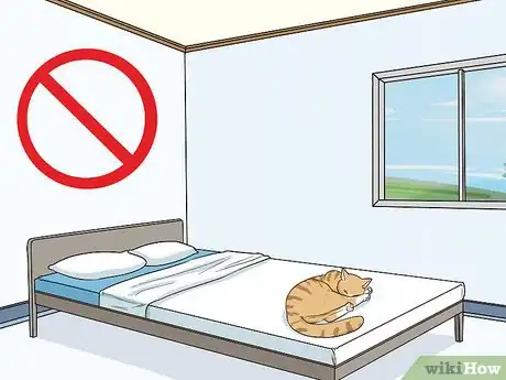 Image titled Choose a Hypoallergenic Cat Breed Step 13