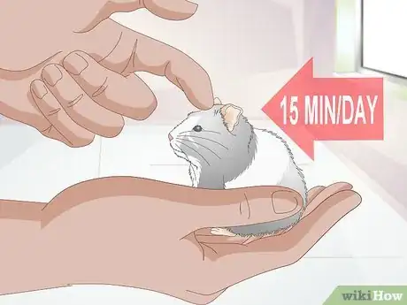 Image titled Deal With a Mean Hamster Step 6