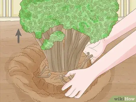 Image titled Remove Overgrown Shrubs Step 5