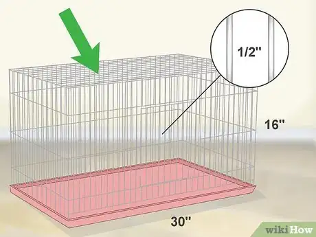 Image titled House a Canary Step 1