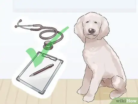 Image titled Find a Good Dog Groomer Step 10