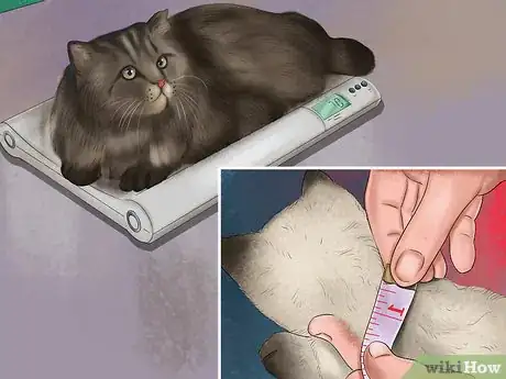 Image titled Choose a Heated Cat Bed or Pad Step 1