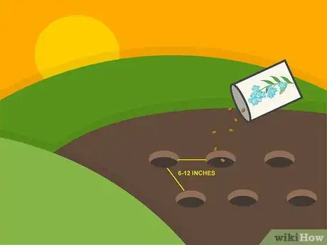 Image titled Plant Forget Me Not Seeds Step 04