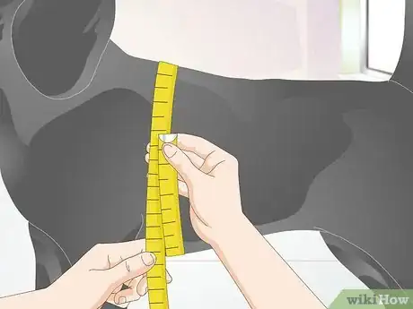 Image titled Measure Dogs for Coats Step 3