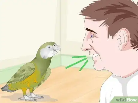 Image titled Keep a Senegal Parrot Entertained Step 10