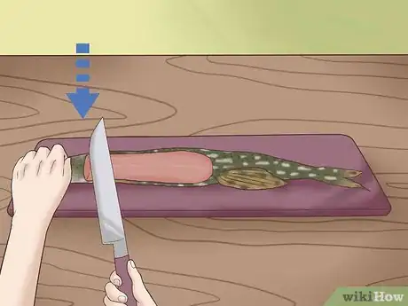 Image titled Clean and Fillet a Northern Pike Step 7