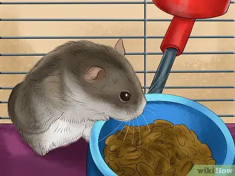 Image titled Treat Tumors in Hamsters Step 4