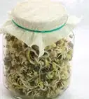 Make a Seed Sprouter at Home